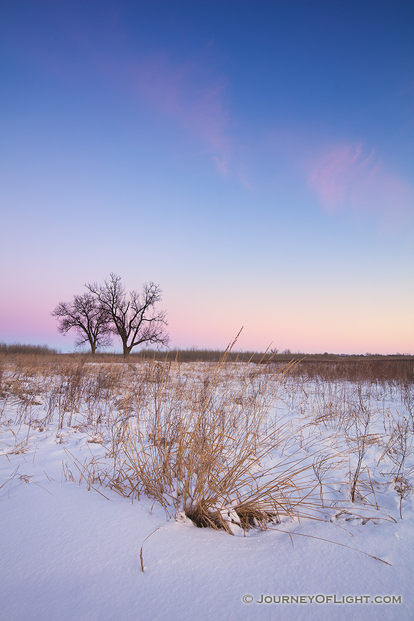 On a cold, winter day, dusk falls upon the prairie at Boyer Chute National Wildlife Refuge in eastern Nebraska. - Boyer Chute Photography