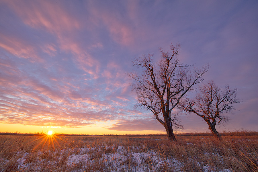 The sun warms the landscape on a frigid cold winter day at Boyer Chute National Wildlife Refuge. - Boyer Chute Photography