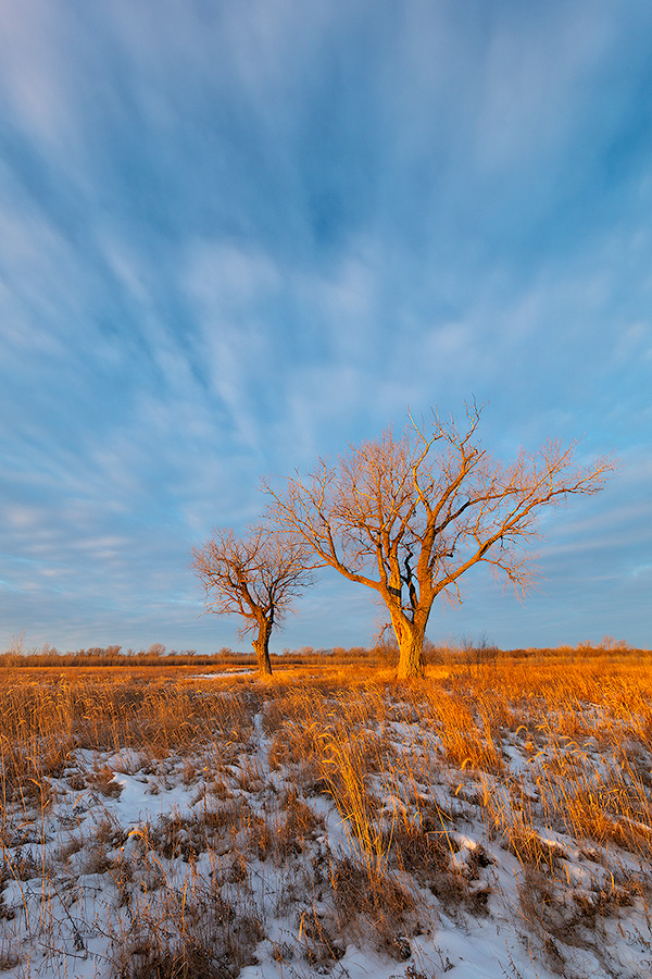 A photograph of a winter prairie landscape at Boyer Chute National Wildlife Refuge in eastern Nebraska. - Boyer Chute Photography