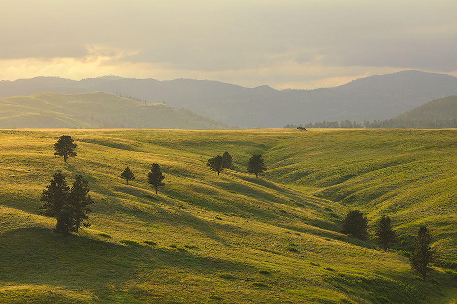 As an afternoon summer storm passes through the Black Hills of South Dakota, sunlight breaks through the clouds and streams light across the landscape. - South Dakota Photography