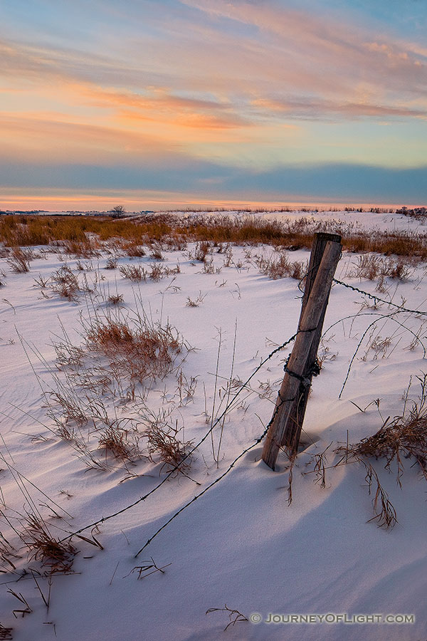 Barbed wire emergences from the snow to attach to a forgotten fence post at Jack Sinn Wildlife Management Area. - Jack Sinn WMA Photography