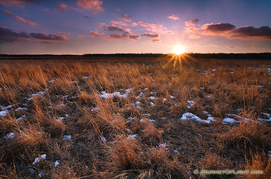 On a cold February day I visited the field of restored prairie grass at DeSoto National Wildlife Refuge for a sunset shot as the sun hit the horizon. - DeSoto Photography