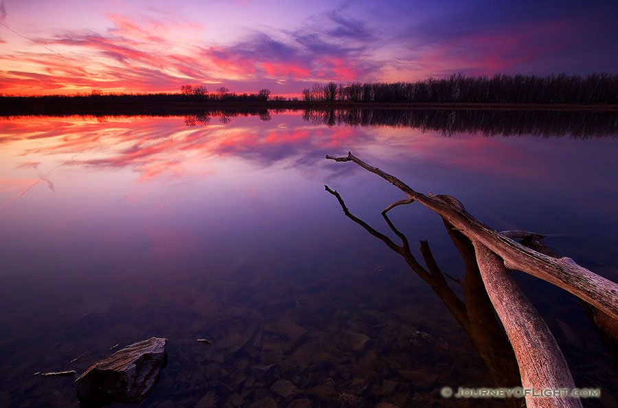 As the sun sets at DeSoto Bend National Wildlife Refuge the sky seems to light on fire.  This photograph was captured on a brisk, early spring evening, the remaining clouds streaked across the sky and reflected the colors of the setting sun. - DeSoto Photography