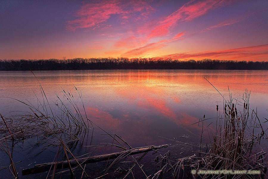 Sunrise on a chilly late November morning in DeSoto National Wildlife Refuge.  That morning frost clung to the cattails and logs and the lake had a slight layer of ice that had formed overnight which reflected the light of the rising sun. - DeSoto Photography