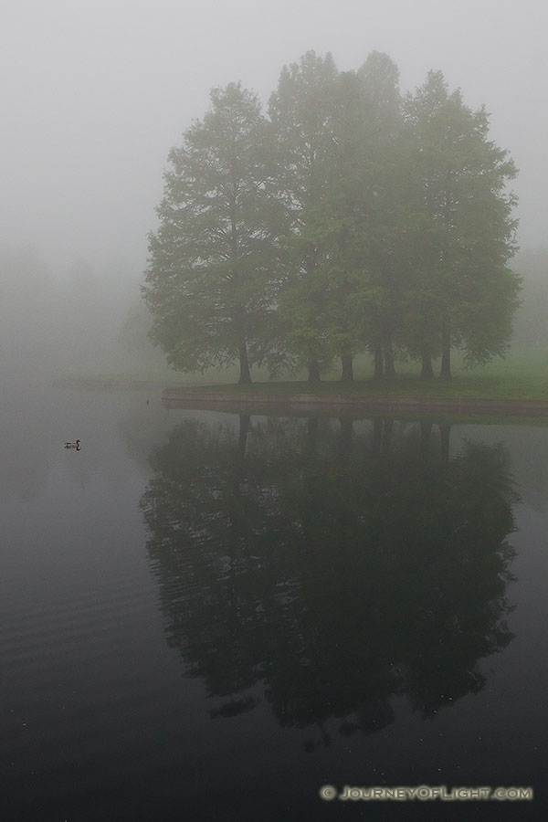 Alone by a small pond near the Gateway Arch, only a single duck for company barely visible through the fog. - Jefferson National Expansion Memorial Photography