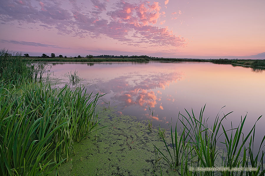On a hot and humid summer evening, twilight descends over the salt creek marsh at Jack Sinn Wildlife Management Area. - Nebraska Photography