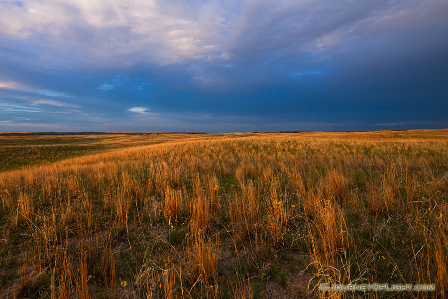 Dark clouds hover over the rolling sandhills in McKelvie National Forest as the last light of the setting sun illuminates the prairie grasses. - Sandhills Photography
