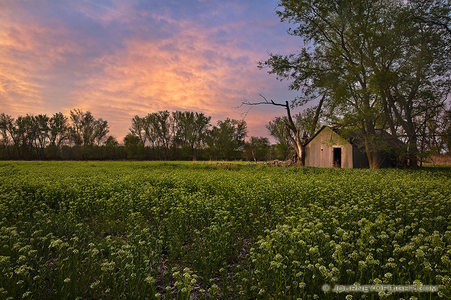 After exploring the western side of DeSoto National Wildlife Refuge I came across this old shed.  The quiet evening had a serenity felt throughout the park. - Nebraska Photography
