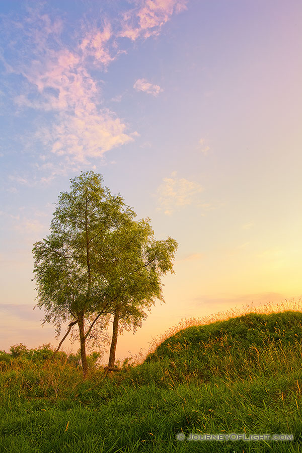 Two trees enjoy the sunset at Boyer Chute National Wildlife Refuge. - Boyer Chute Photography