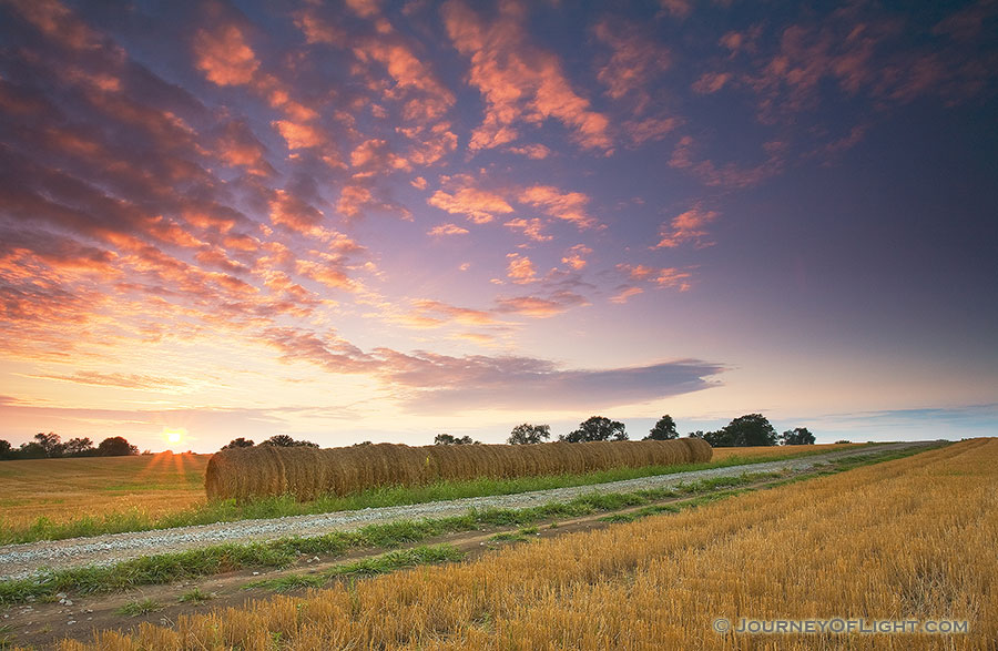 On a late summer evening, a collection of hay bales line a country road in Eastern Nebraska near Memphis State Recreation Area in the late summer. - Nebraska Photography