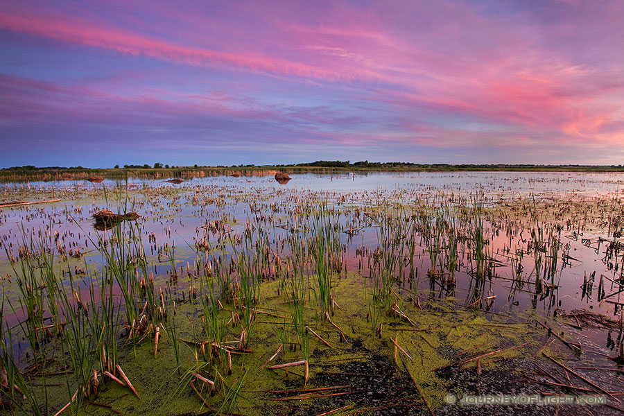 On a late spring evening the calm marsh at Jack Sinn Wildlife Management Area reflects the colors of twilight. - Jack Sinn Photography
