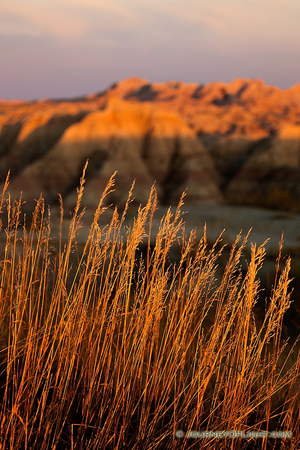 Just as dusk falls on a warm summer afternoon the final light of the sun illuminates prairie grass and the tops of the craggy landscape in Badlands National Park in South Dakota. - South Dakota,Landscape Photography