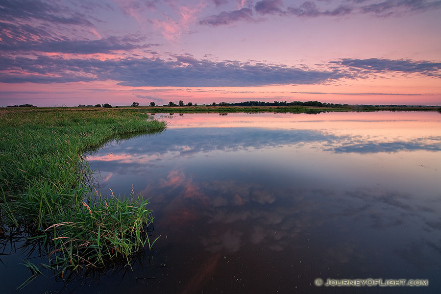 On a humid July evening at Jack Sinn WMA in eastern Nebraska, the air was still and the marsh was quiet. - Jack Sinn Photography