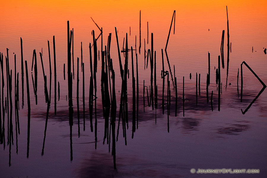 At a small lake at Jack Sinn Wildlife Management Area near Ceresco, dark reeds contrast with the vibrant hues of oranges and purples of the late evening sky. - Jack Sinn Photography