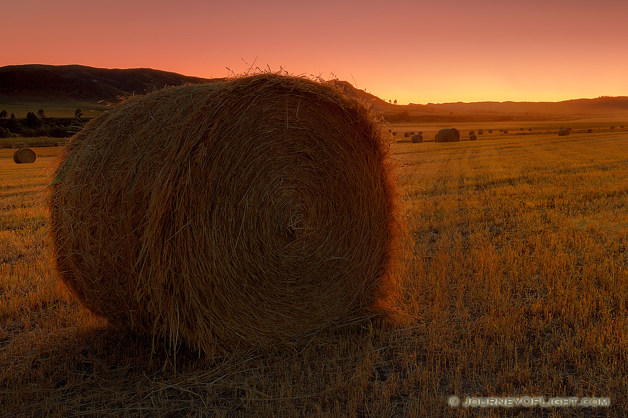 On a cool September evening I found these hay bales in Ft. Robinson State Park, Nebraska. The intense sunset cast an orange light across the field giving everything a warm amber glow. As I stood in the field I could smell the fresh cut hay, reminding me of hay bale rides and fun autumn days. - Nebraska Photography