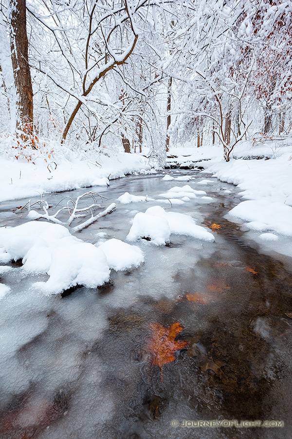 Autumn Oak leaves stick to the bottom of cold stream flows through Platte River State Park in eastern Nebraska on a winter's day. - Platte River SP Photography