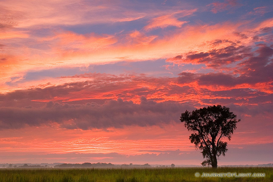 In the fall of 2006 I photographed this spectacular sunset at Boyer Chute National Wildlife Refuge across the prairie. - Boyer Chute Photography