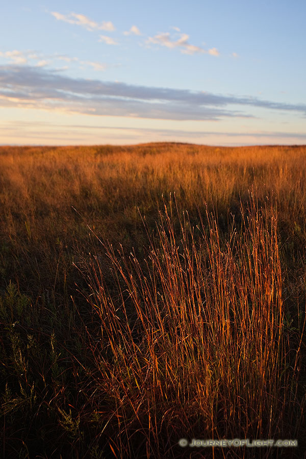 Priarie grasses burn bright red in the rising sun at Valentine National Wildlife Refuge, Nebraska. - Valentine Photography