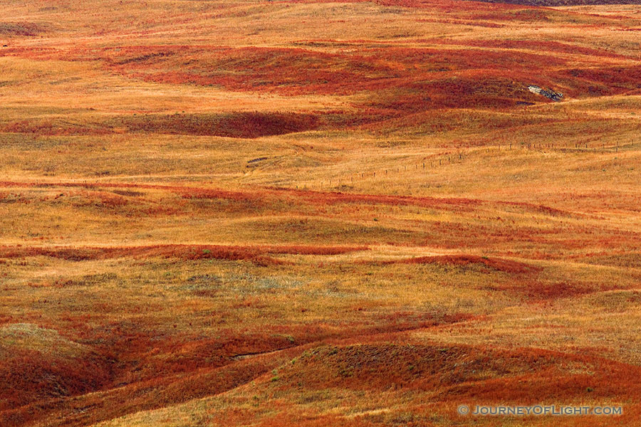 After an autumn rain, the grasses of the sandhills exhibit saturated warm hues. - Nebraska Photography