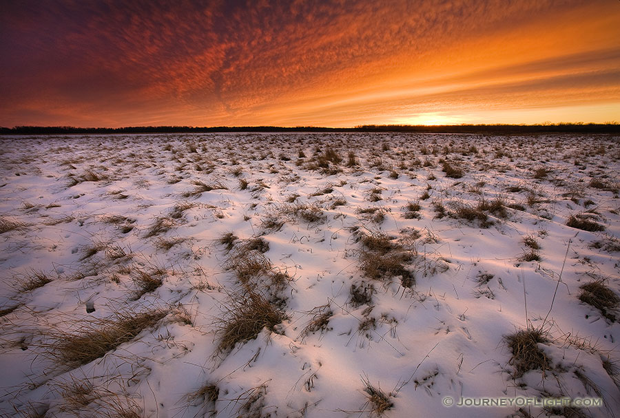 This photograph was taken 20 minutes after sunset when the clouds in the sky were still alit with the magnificent winter light at Desoto National Wildlife Refuge, Nebraska.  - DeSoto Photography