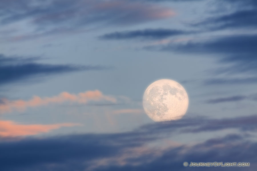 An late autumn moon rises above DeSoto National Wildlife Refuge. - DeSoto Photography