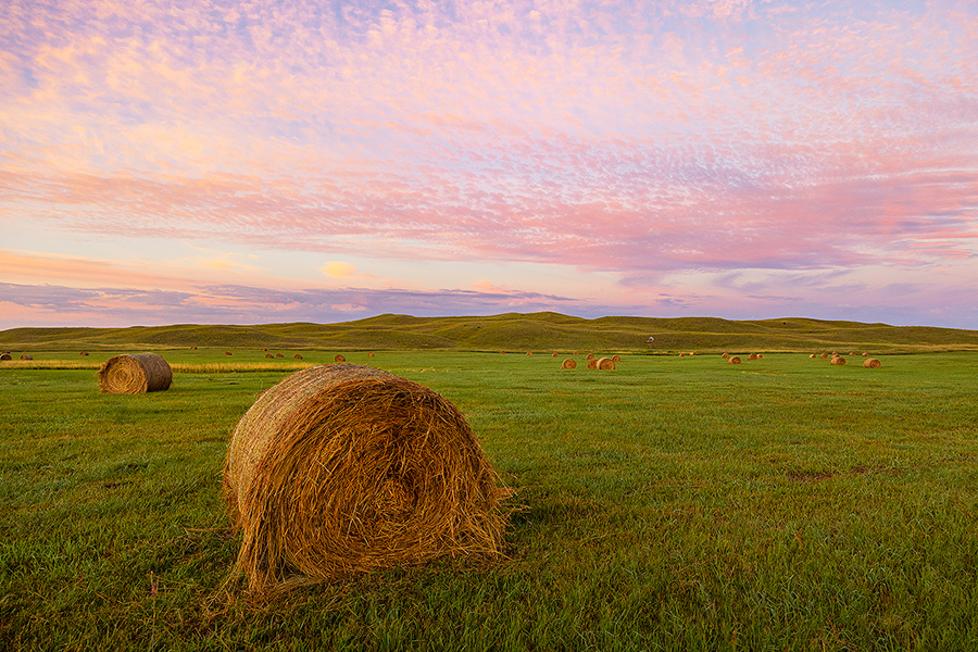 A scenic landscape photograph of hay bales under a beautiful sunrise in the sandhills of Nebraska. - Nebraska Photography