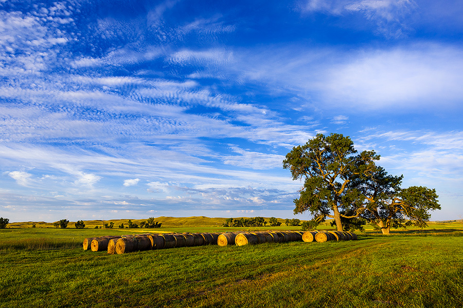 A scenic landscape photograph of hay bales and a group of trees in the sandhills of Nebraska. - Nebraska Photography
