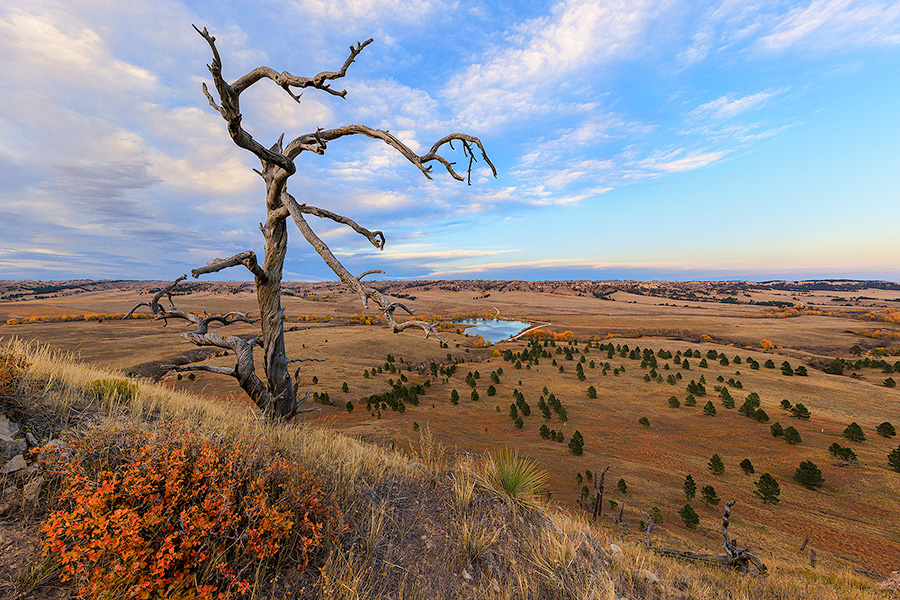 A scenic landscape photograph of a tree high on a butte at Fort Robinson State Park in Northwestern Nebraska. - Nebraska Photography
