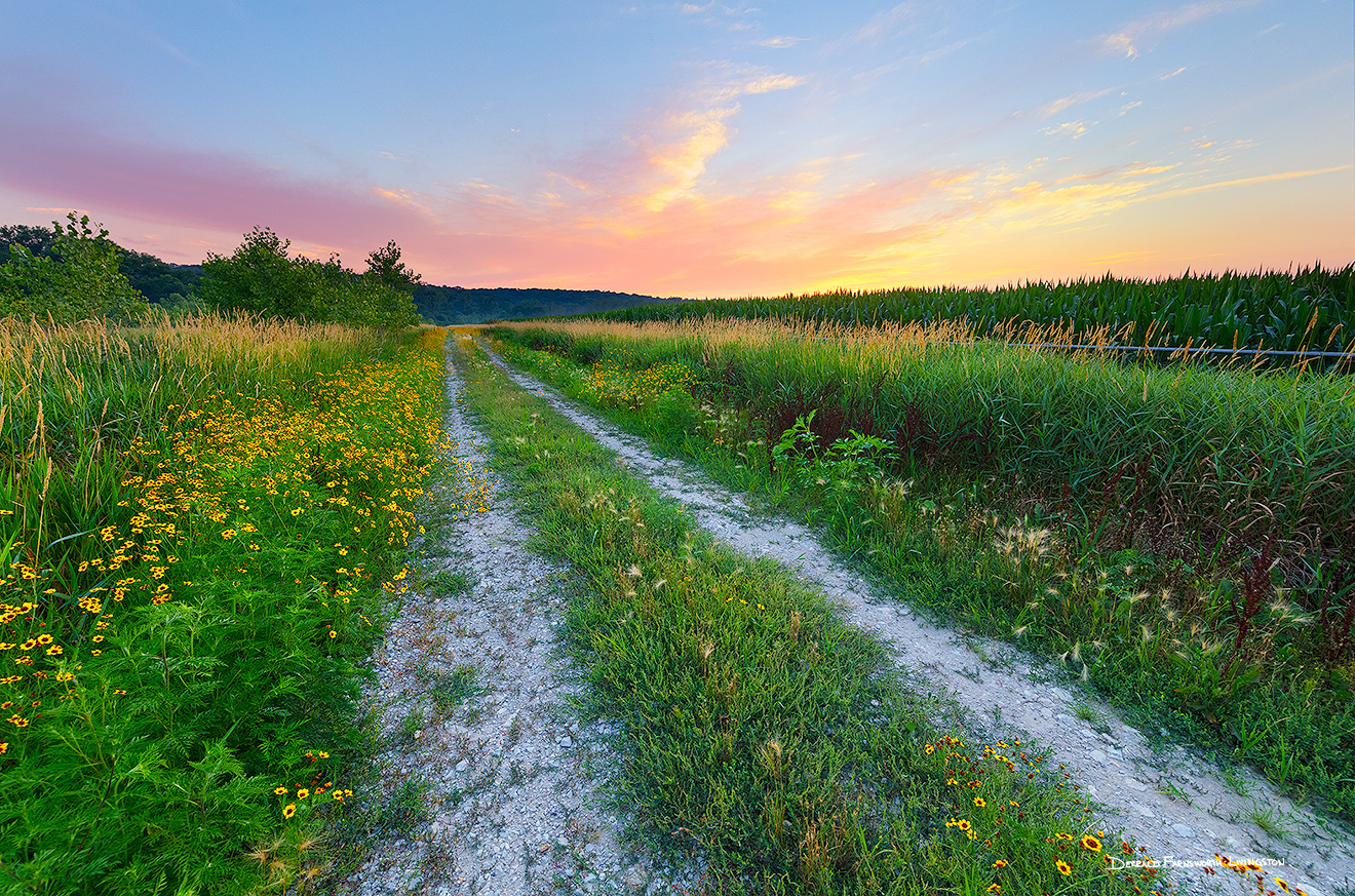 A scenic landscape photograph of a country road near a farm in eastern Nebraska. - Nebraska Picture