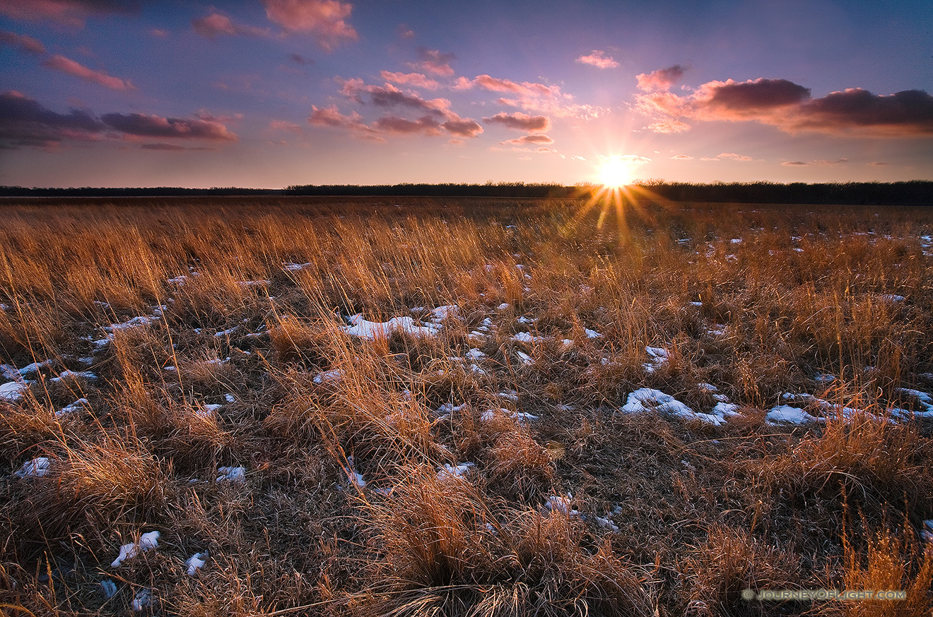 On a cold February day I visited the field of restored prairie grass at DeSoto National Wildlife Refuge for a sunset shot as the sun hit the horizon. - DeSoto Picture