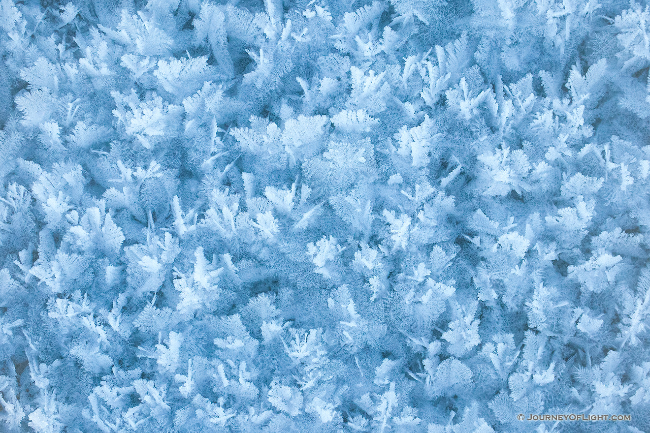On a cold winter day snow crystals form on Lake Wehrspann at Chalco Hills Recreation Area in Nebraska. - Nebraska Picture