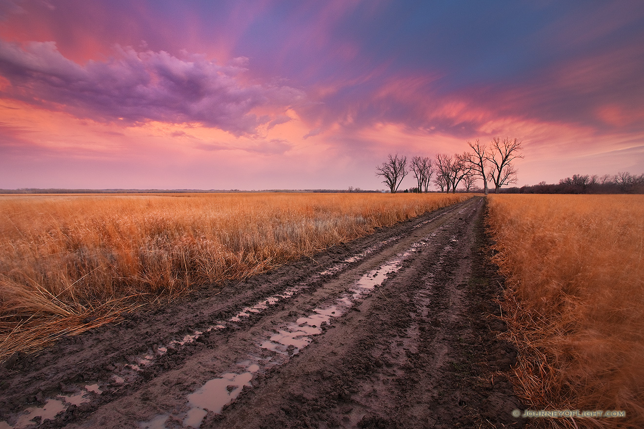 An early spring rain drenches the prairie landscape, creating reflective puddles in a newly plowed road. - Boyer Chute Picture