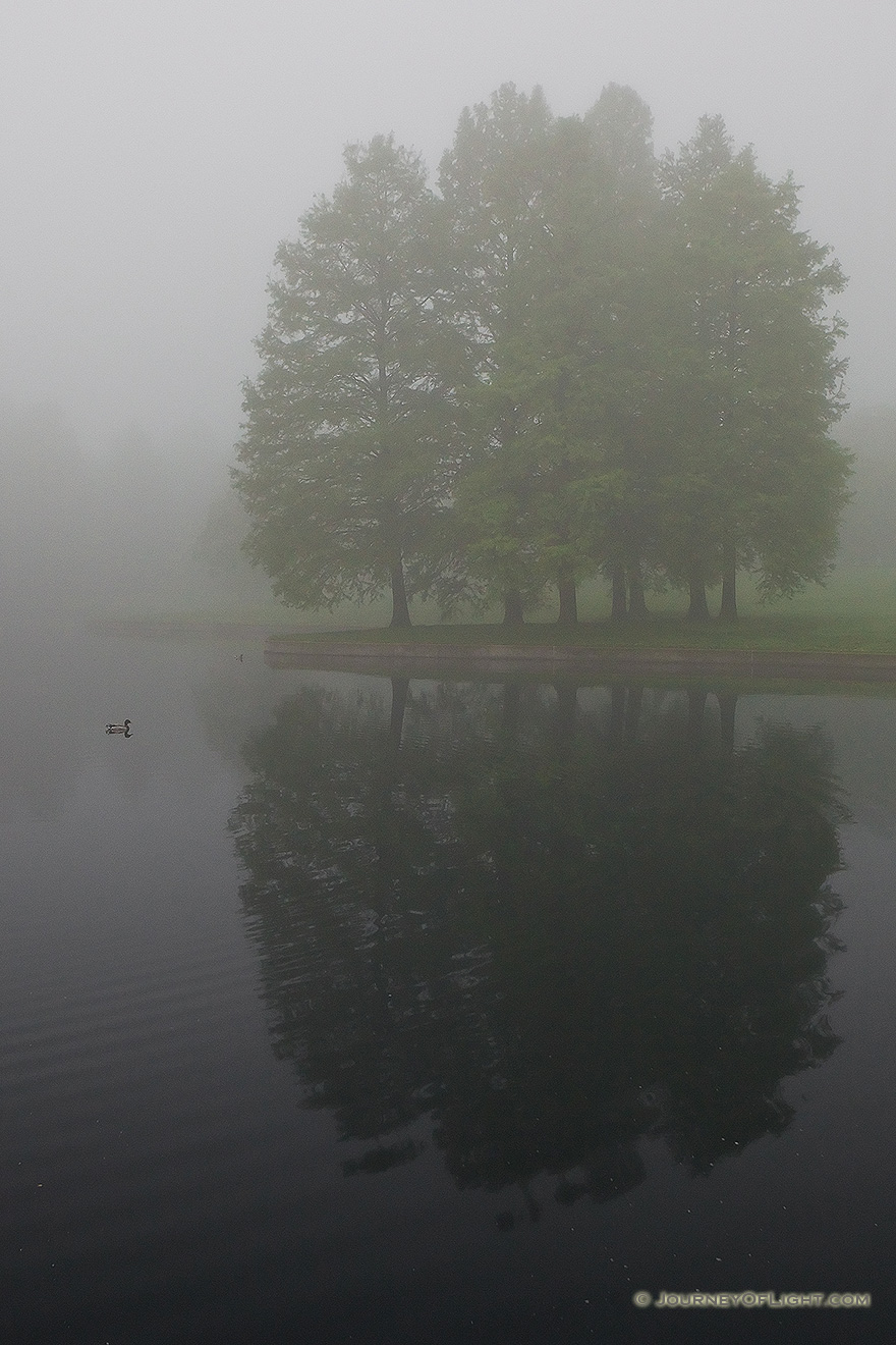 Alone by a small pond near the Gateway Arch, only a single duck for company barely visible through the fog. - Jefferson National Expansion Memorial Picture