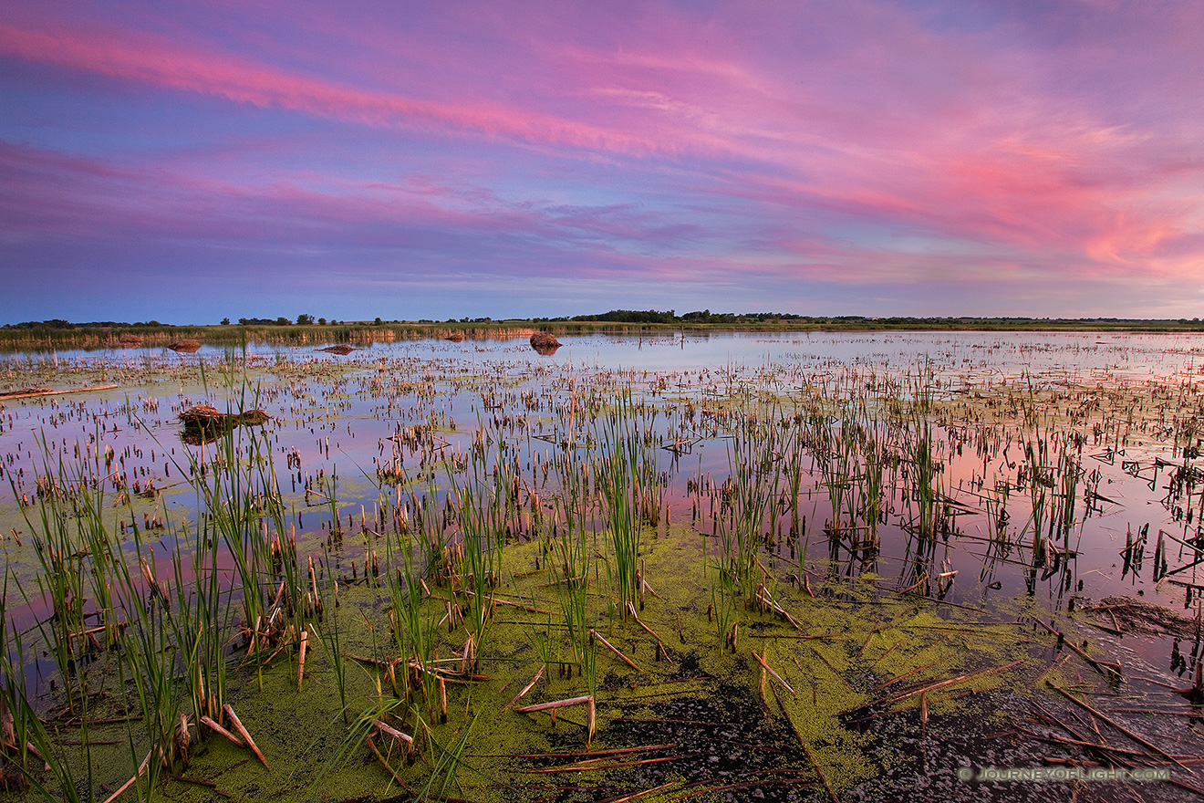 On a late spring evening the calm marsh at Jack Sinn Wildlife Management Area reflects the colors of twilight. - Jack Sinn Picture