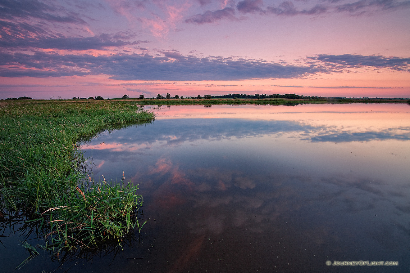 On a humid July evening at Jack Sinn WMA in eastern Nebraska, the air was still and the marsh was quiet. - Jack Sinn Picture