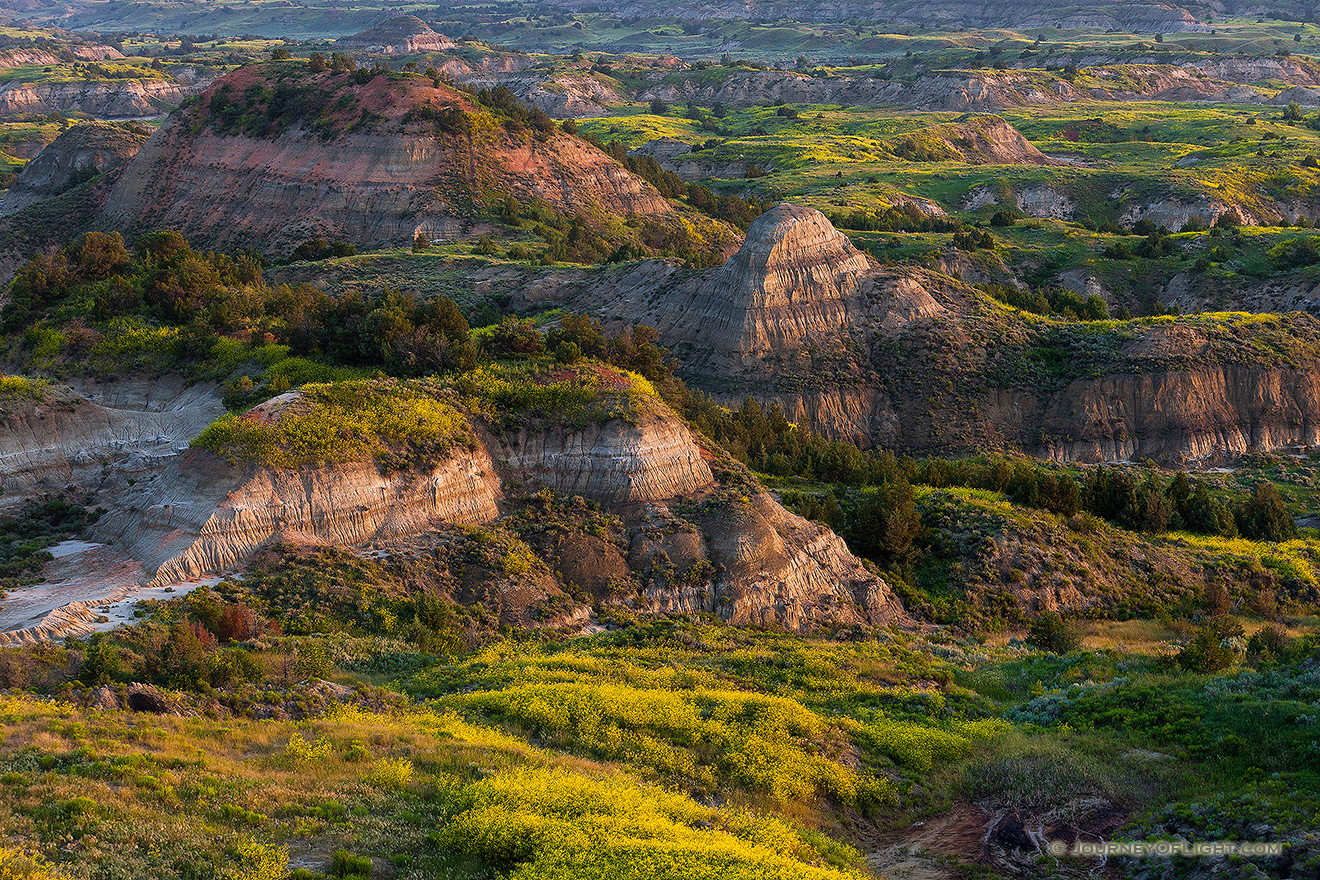 Bluffs in the Painted Canyon in Theodore Roosevelt National Park glow warm from the light of early morning. - North Dakota Picture