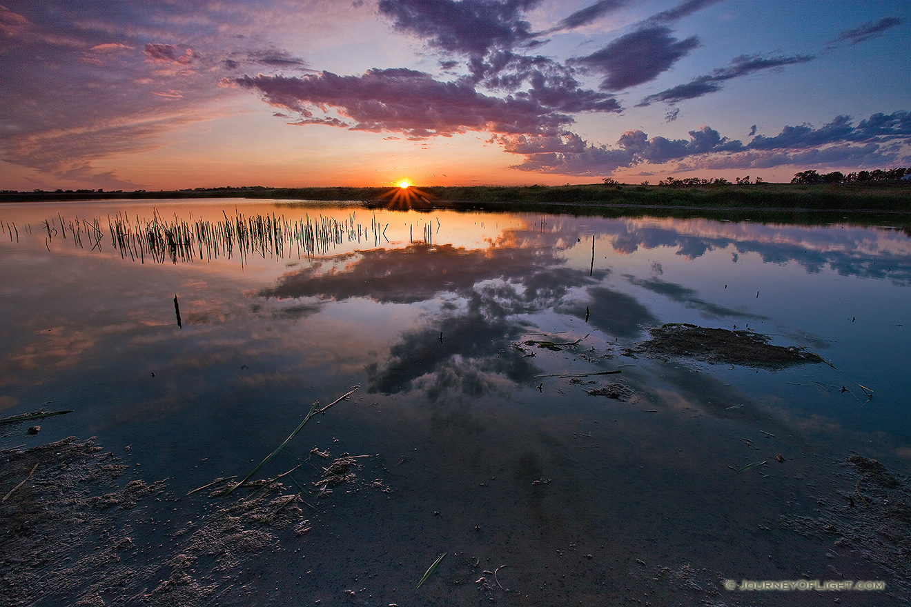 When capturing this photograph on a cool July evening at Jack Sinn WMA in eastern Nebraska, the evening was quiet except for the frogs and insects and the occasional honking of geese overhead. - Jack Sinn Picture