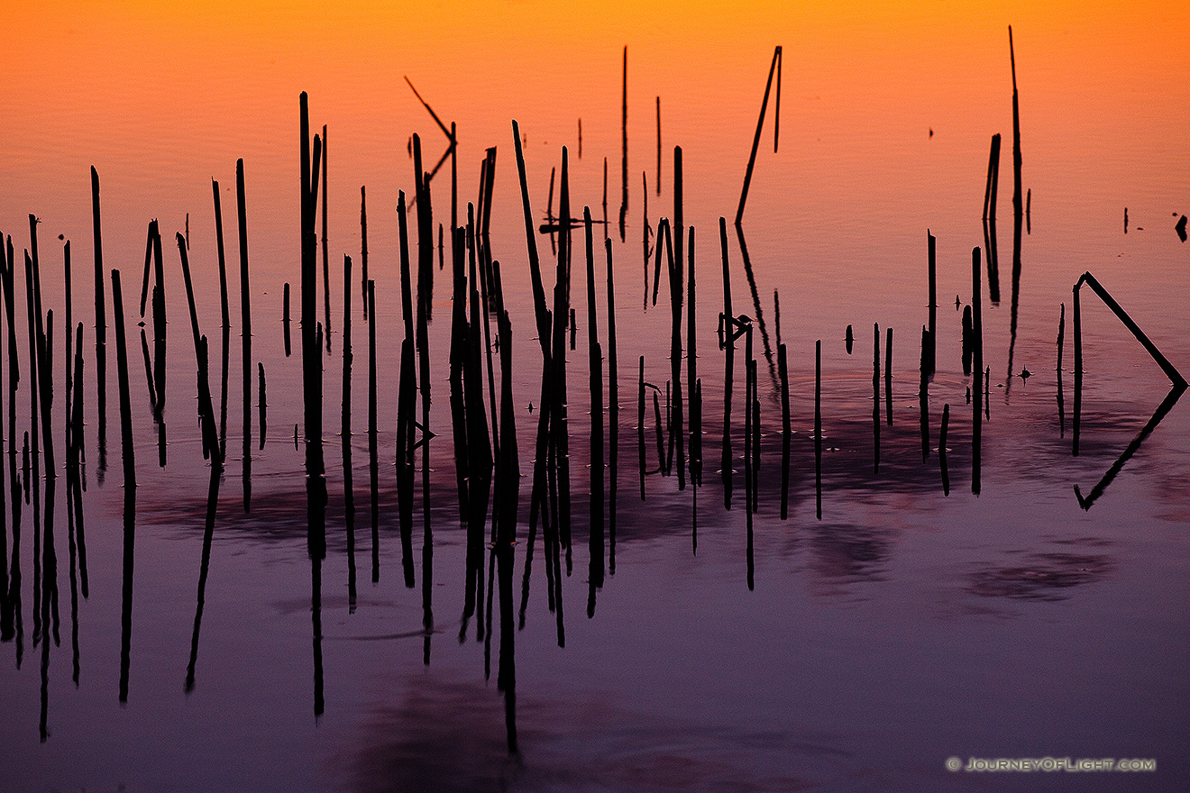 At a small lake at Jack Sinn Wildlife Management Area near Ceresco, dark reeds contrast with the vibrant hues of oranges and purples of the late evening sky. - Jack Sinn Picture