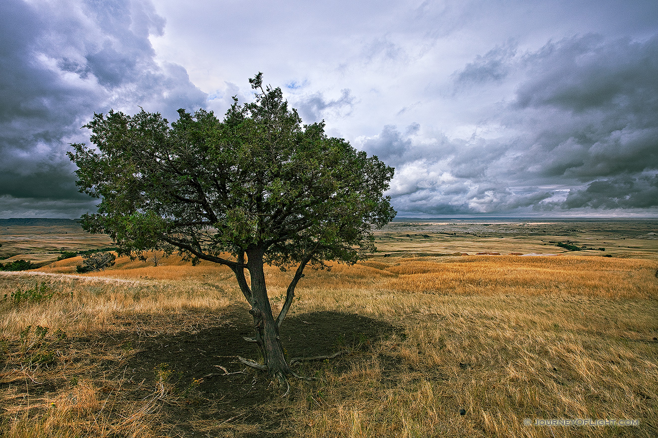 A lone tree watches over the vast prairie while a storm brews on the horizon in the Sage Creek area at Badlands National Park in South Dakota. - Badlands NP Picture