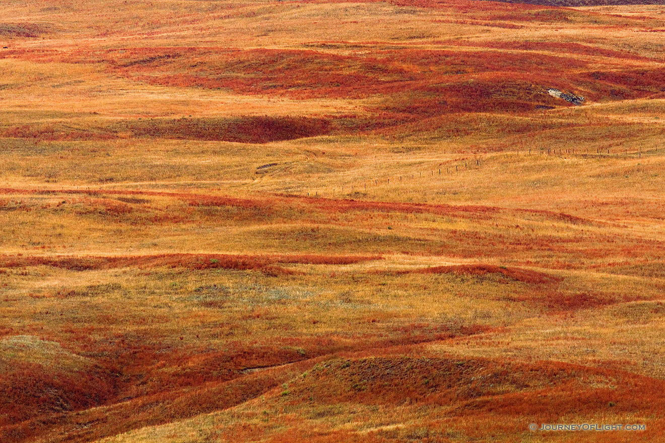 After an autumn rain, the grasses of the sandhills exhibit saturated warm hues. - Nebraska Picture