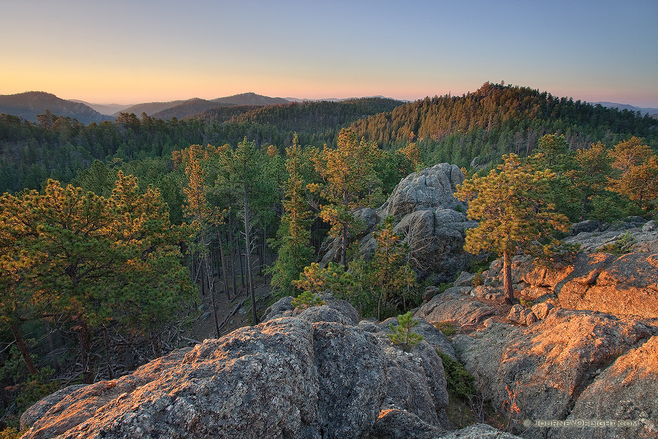 The Black Hills in South Dakota are known for their tall pine trees that cover the rolling hills. - South Dakota Picture