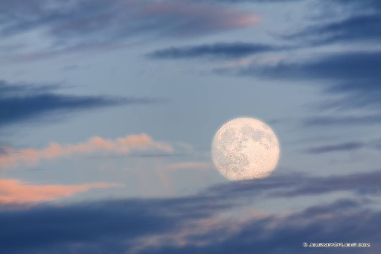 An late autumn moon rises above DeSoto National Wildlife Refuge. - DeSoto Picture