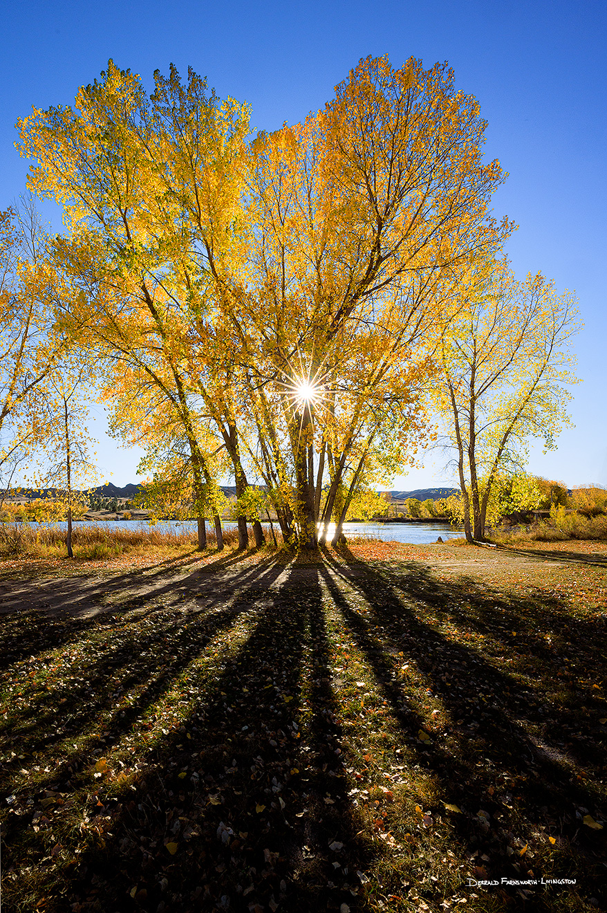 A Nebraska scenic landscape photograph of autumn trees and sunlight at Fort Robinson State Park. - Nebraska Picture