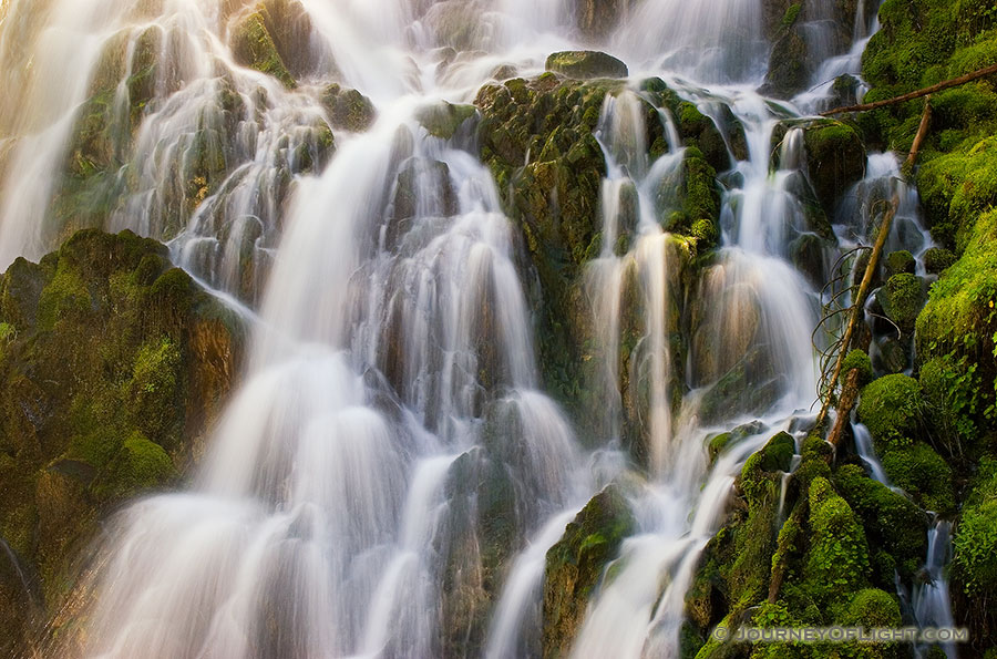 Falling water creates an exquisite pattern on the trail to PJ Lake in Olympic National Park. - Pacific Northwest Photography