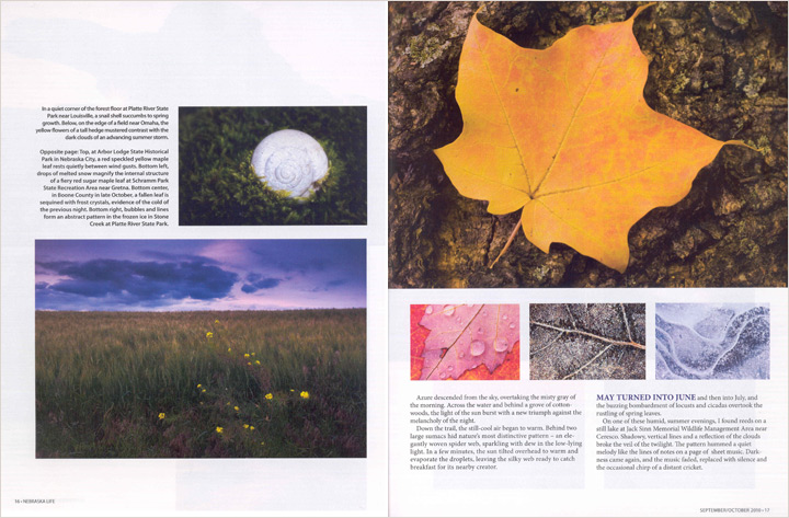 Nature's Design Story in Nebraska Life.  Contributed both text and photography. -  Picture