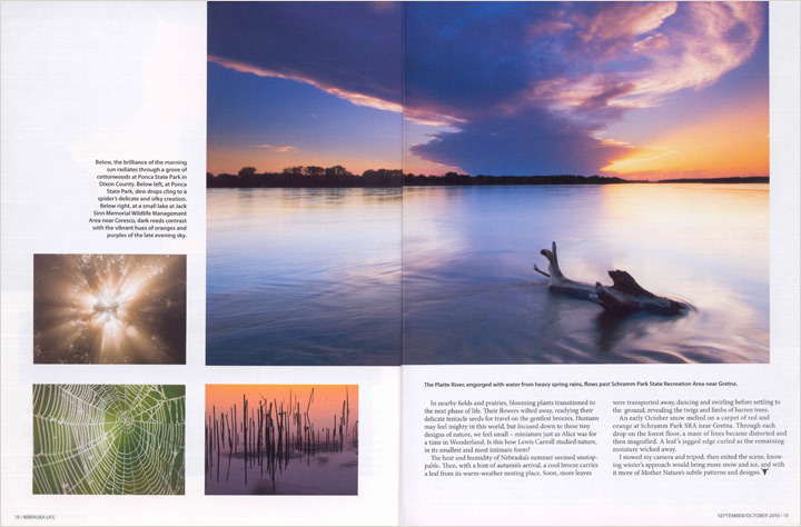 Nature's Design Story in Nebraska Life.  Contributed both text and photography. -  Picture