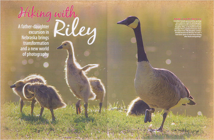 Hiking With Riley Story in Nebraska Life.  Contributed both text and photography. -  Photography