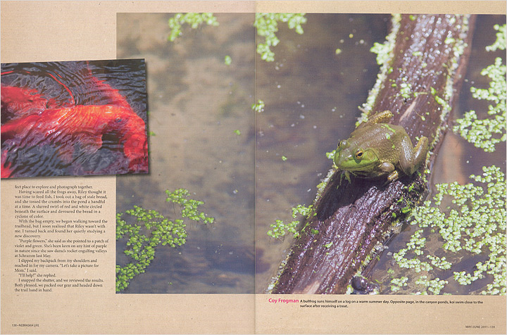 Hiking With Riley Story in Nebraska Life.  Contributed both text and photography. -  Picture